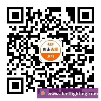 荣誉资质标题五